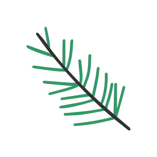 Branch